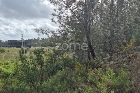 Helårsgrund i Alenquer, Lisbon, Alenquer - € 15.000 | Ref: ZMPT575340 - foto 2