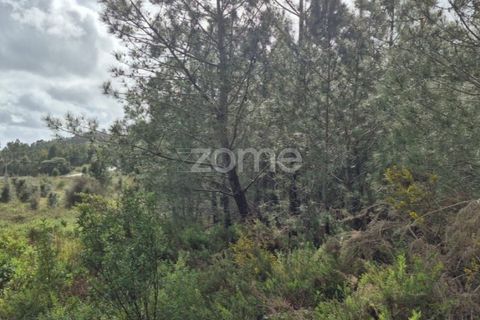 Helårsgrund i Alenquer, Lisbon, Alenquer - € 15.000 | Ref: ZMPT575340 - foto 3