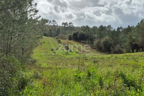 Helårsgrund i Alenquer, Lisbon, Alenquer - € 15.000 | Ref: ZMPT575340 - foto 4