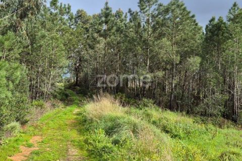 Helårsgrund i Alenquer, Lisbon, Alenquer - € 15.000 | Ref: ZMPT575340 - foto 10