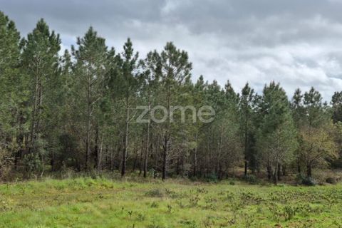 Helårsgrund i Alenquer, Lisbon, Alenquer - € 15.000 | Ref: ZMPT575340 - foto 11