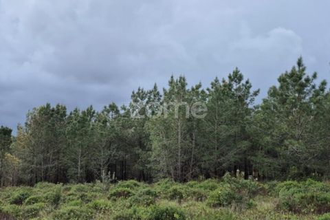 Helårsgrund i Alenquer, Lisbon, Alenquer - € 15.000 | Ref: ZMPT575340 - foto 14