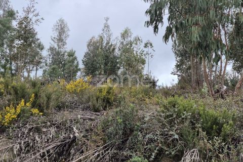 Helårsgrund i Alenquer, Lisbon, Alenquer - € 15.000 | Ref: ZMPT575340 - foto 17