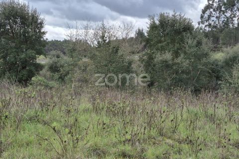 Helårsgrund i Alenquer, Lisbon, Alenquer - € 15.000 | Ref: ZMPT575340 - foto 18