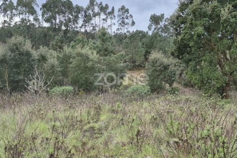 Helårsgrund i Alenquer, Lisbon, Alenquer - € 15.000 | Ref: ZMPT575340 - foto 19