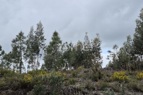 Helårsgrund i Alenquer, Lisbon, Alenquer - € 15.000 | Ref: ZMPT575340 - foto 21