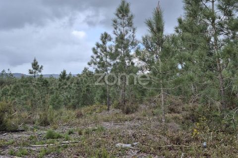 Helårsgrund i Alenquer, Lisbon, Alenquer - € 15.000 | Ref: ZMPT575340 - foto 22