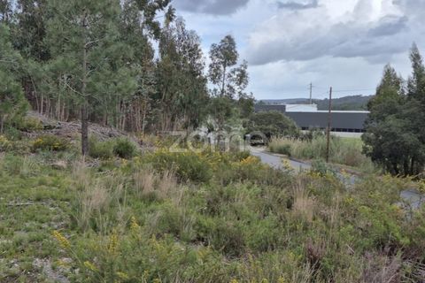 Helårsgrund i Alenquer, Lisbon, Alenquer - € 15.000 | Ref: ZMPT575340 - foto 23