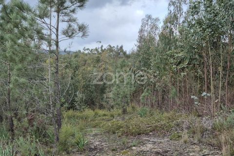 Helårsgrund i Alenquer, Lisbon, Alenquer - € 15.000 | Ref: ZMPT575340 - foto 26