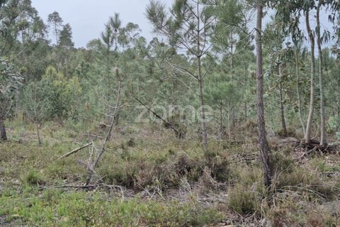 Helårsgrund i Alenquer, Lisbon, Alenquer - € 15.000 | Ref: ZMPT575340 - foto 27