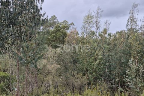 Helårsgrund i Alenquer, Lisbon, Alenquer - € 15.000 | Ref: ZMPT575340 - foto 29
