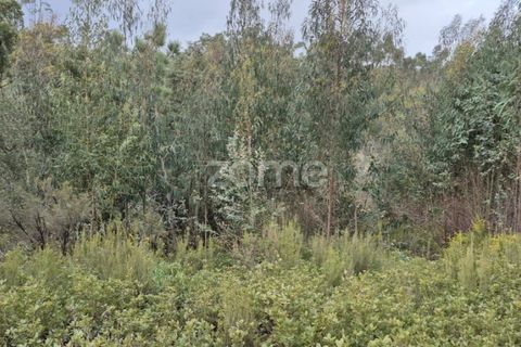 Helårsgrund i Alenquer, Lisbon, Alenquer - € 15.000 | Ref: ZMPT575340 - foto 30