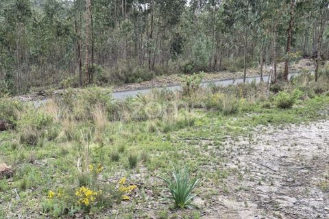 Helårsgrund i Alenquer, Lisbon, Alenquer - € 15.000 | Ref: ZMPT575340 - foto 34