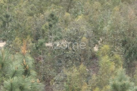 Helårsgrund i Alenquer, Lisbon, Alenquer - € 15.000 | Ref: ZMPT575340 - foto 36