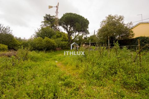 Villa i Sintra, Lisbon, Sintra - € 1.040.000 | Ref: ITH3314 - foto 6