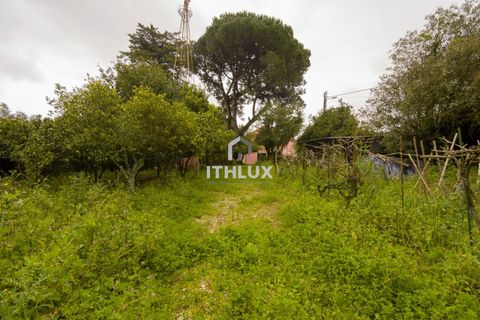 Villa i Sintra, Lisbon, Sintra - € 1.040.000 | Ref: ITH3314 - foto 9