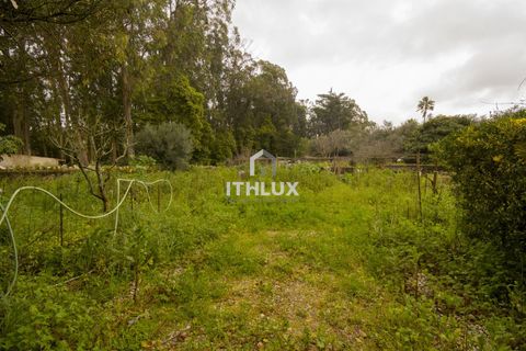 Villa i Sintra, Lisbon, Sintra - € 1.040.000 | Ref: ITH3314 - foto 13