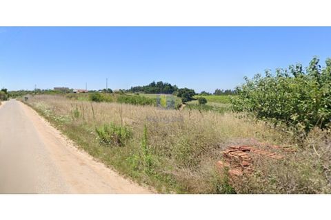 Helårsgrund i Carvalhal, Leiria, Carvalhal - € 40.000 | Ref: CAL-216762 - foto 1