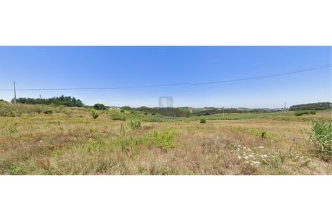 Helårsgrund i Carvalhal, Leiria, Carvalhal - € 40.000 | Ref: CAL-216762 - foto 3