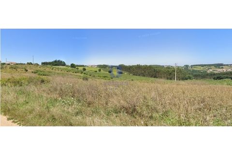 Helårsgrund i Carvalhal, Leiria, Carvalhal - € 40.000 | Ref: CAL-216762 - foto 4