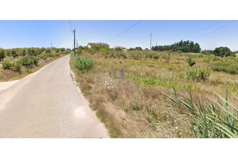 Helårsgrund i Carvalhal, Leiria, Carvalhal - € 40.000 | Ref: CAL-216762 - foto 5