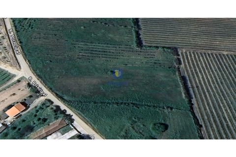 Helårsgrund i Carvalhal, Leiria, Carvalhal - € 40.000 | Ref: CAL-216762 - foto 6