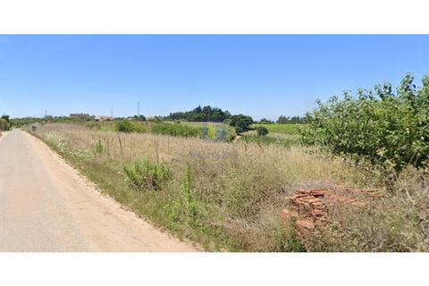 Helårsgrund i Carvalhal, Leiria, Carvalhal - € 40.000 | Ref: CAL-216762 - foto 7