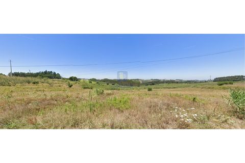 Helårsgrund i Carvalhal, Leiria, Carvalhal - € 40.000 | Ref: CAL-216762 - foto 8