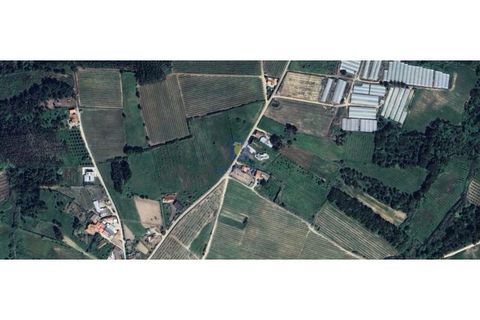 Helårsgrund i Carvalhal, Leiria, Carvalhal - € 40.000 | Ref: CAL-216762 - foto 9