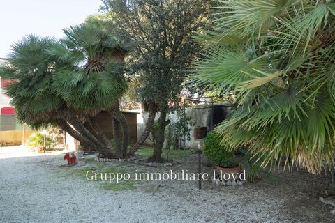 Villa a Pisa, Pisa, Pisa - € 1.500.000 | Ref: 7540 - foto 47
