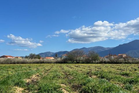Terra a Brouilla, Pyrenees-Orientales, Brouilla - € 93.500 | Ref: 12 - foto 2