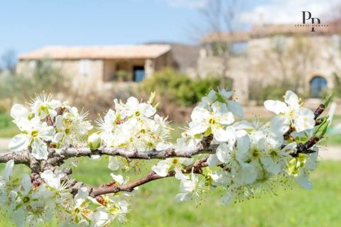 Villa i Viens, Vaucluse, Viens - € 9.900.000 | Ref: 398141MANC - foto 4