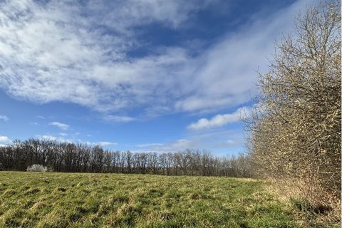 Terra a Tarbes, Hautes-Pyrenees, Tarbes - € 45.000 | Ref: 7336937 - foto 3