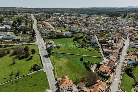 Tomt i Sabugal, Guarda, Sabugal - € 190 000 | Ref: 111250058 - foto 3