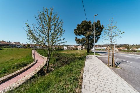 Tomt i Sabugal, Guarda, Sabugal - € 190 000 | Ref: 111250058 - foto 6
