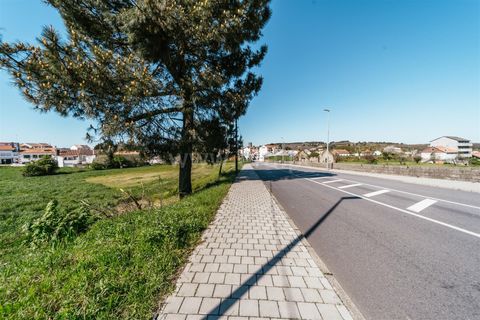 Tomt i Sabugal, Guarda, Sabugal - € 190 000 | Ref: 111250058 - foto 7