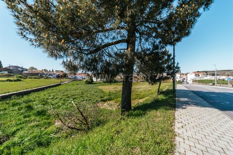 Tomt i Sabugal, Guarda, Sabugal - € 190 000 | Ref: 111250058 - foto 8