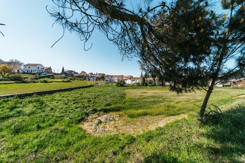 Tomt i Sabugal, Guarda, Sabugal - € 190 000 | Ref: 111250058 - foto 9