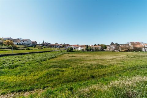 Tomt i Sabugal, Guarda, Sabugal - € 190 000 | Ref: 111250058 - foto 10