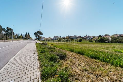 Tomt i Sabugal, Guarda, Sabugal - € 190 000 | Ref: 111250058 - foto 12