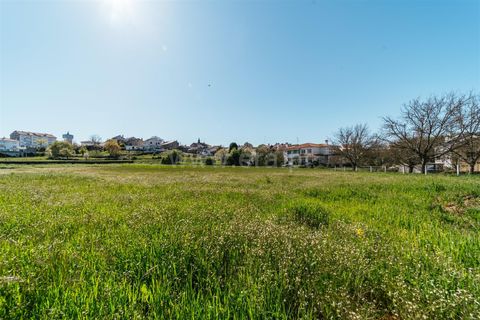 Tomt i Sabugal, Guarda, Sabugal - € 190 000 | Ref: 111250058 - foto 13