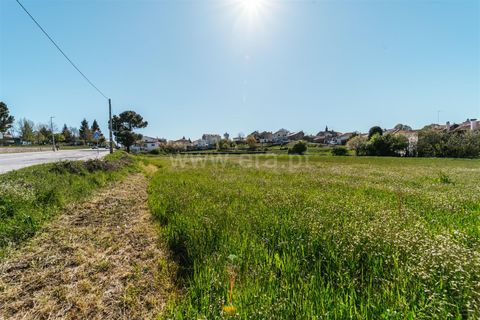 Tomt i Sabugal, Guarda, Sabugal - € 190 000 | Ref: 111250058 - foto 14
