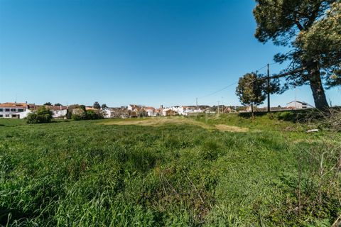 Tomt i Sabugal, Guarda, Sabugal - € 190 000 | Ref: 111250058 - foto 15