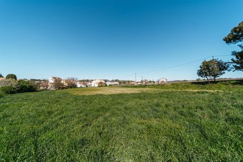 Tomt i Sabugal, Guarda, Sabugal - € 190 000 | Ref: 111250058 - foto 17