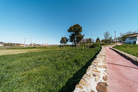 Tomt i Sabugal, Guarda, Sabugal - € 190 000 | Ref: 111250058 - foto 18