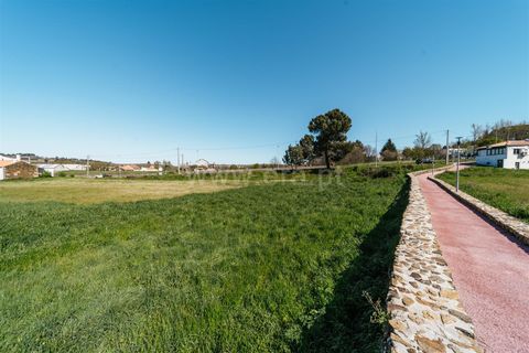 Tomt i Sabugal, Guarda, Sabugal - € 190 000 | Ref: 111250058 - foto 19