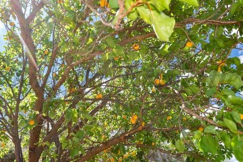 Finca i Competa, Malaga, Competa - € 72.000 | Ref: CP680 - foto 4