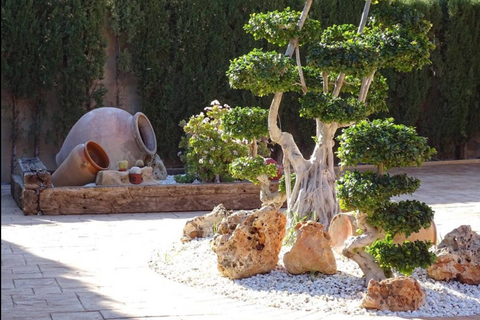 Villa en Mutxamel, Alicante, Mutxamel - € 520.000 | Ref: C-1149 - photo 11