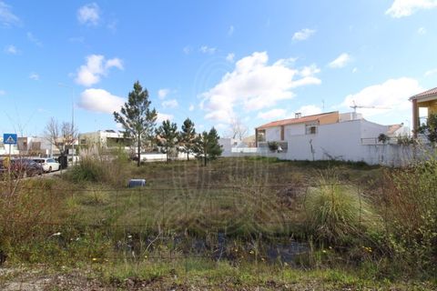 Helårsgrund i Condeixa-a-Nova, Coimbra, Condeixa-a-Nova - € 70.000 | Ref: cdx0877 - foto 9