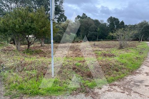 Helårsgrund i Aveiro, Aveiro, Aveiro - € 200.000 | Ref: 1030904/25BL - foto 5